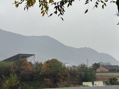 -秦始皇帝陵博物院-丽山园