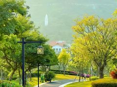 -白石龙音乐公园