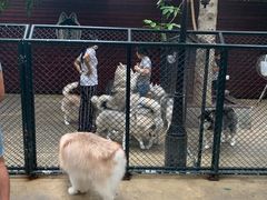 -TrueLove @ Neverland (Husky Cafe)