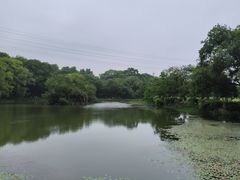-八卦田遗址公园