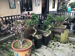 -天怡·鱼工厂(临江店)