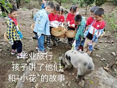 -金鼎实验幼儿园(和平里中街)