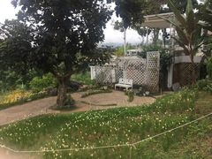-黄色小屋