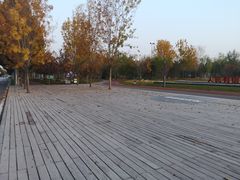 -廊坊固安福朋喜来登酒店