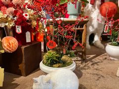 -知物癖(牛王庙店)