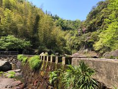 -宁波余姚老柿林山居度假村