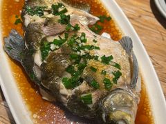 -金鱼妈妈 山野·食趣(荫山街店)