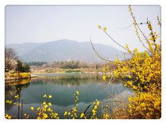 -国家植物园
