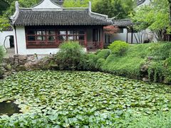 -上海醉白池公园