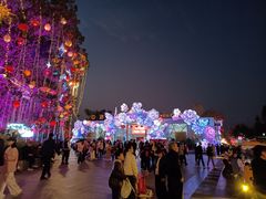 -厦门园林博览苑