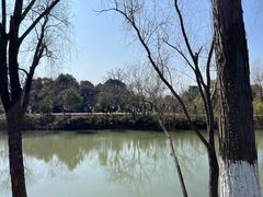 -西溪国家湿地公园