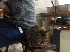 -正宗富顺豆花(群宁街店)