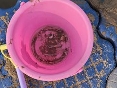 -东戴河风景区-止锚湾