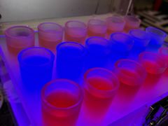 -Famous肥猫墨西哥音乐餐吧(五棵松华熙LIVE店)