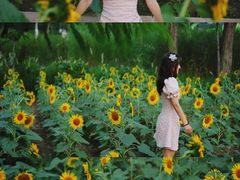 -廊坊文化艺术中心