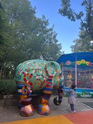 -大望京儿童游乐场