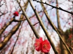 -贵阳市花溪国家城市湿地公园