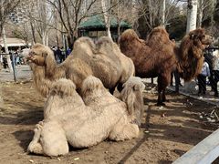 -长白岛森林公园