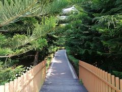 -迪茵湖田家舍生态农场