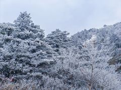 -华山风景名胜区