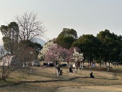 -钟山体育运动公园