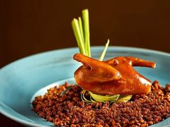 -南堂馆·新川菜(春熙路店)