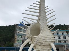 -放鸡岛生态旅游国际度假区