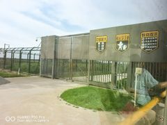 -黑瞎子岛探秘野熊园