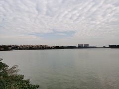 -仙湖旅游度假区