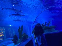 -成都浩海立方海洋公园