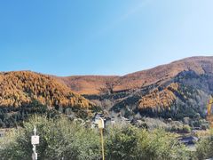 -五台山风景区