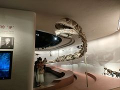 -自贡恐龙博物馆
