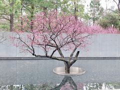 景点-静安雕塑公园