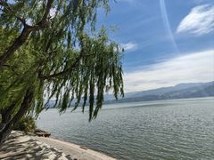 -西昌邛海湾柏樾酒店(原邛海湾柏栎度假酒店)