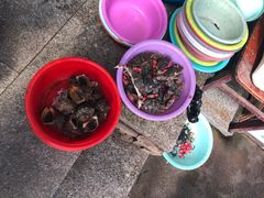 -常家活海鲜小吃(仅一家无分店)