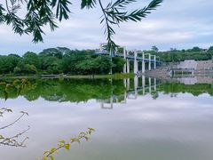 -东莞植物园