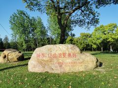 -东方绿舟景区