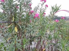 -那考河湿地公园
