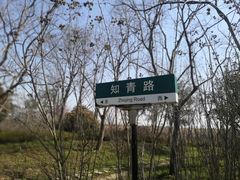 -同里国家湿地公园