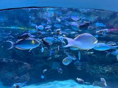 -海合安成都极地海洋公园