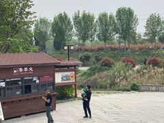 -商丘古城-应天书院