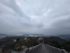 -黄贤森林公园