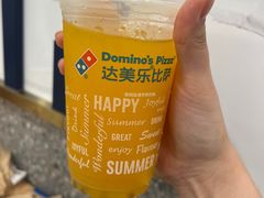 -达美乐比萨(国瑞北路店)
