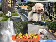 -九鲤湖风景区