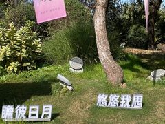 -诗经里
