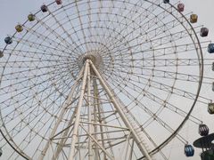 -琴岛之星摩天轮