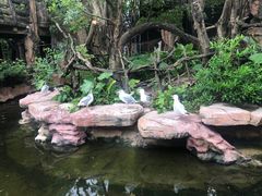 -长鹿旅游休博园