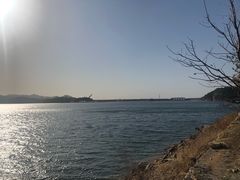 -望湖烤鱼