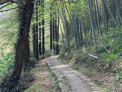 -莫干山风景区