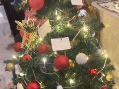 -春树下·树屋花房西餐厅(罍街AS1980店)